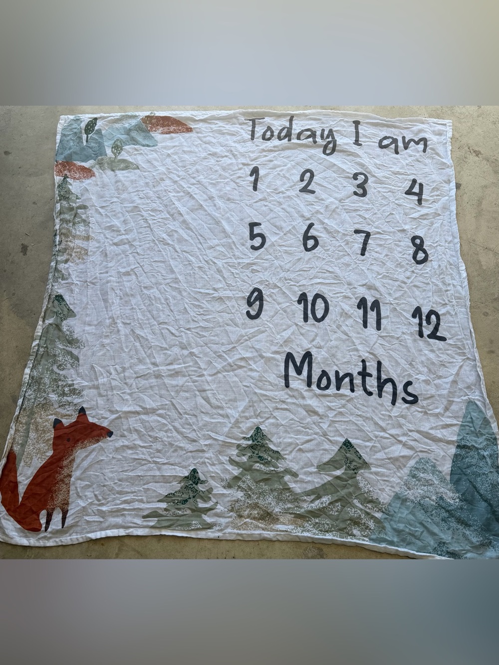 Baby Milestone Blanket - Woodland Numbers Design